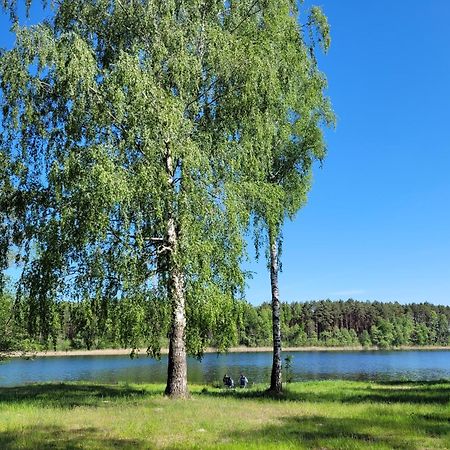 Osrodek Wypoczynkowy Zacisze Hotel Śliwice Екстериор снимка