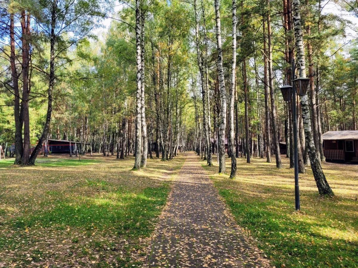 Osrodek Wypoczynkowy Zacisze Hotel Śliwice Екстериор снимка