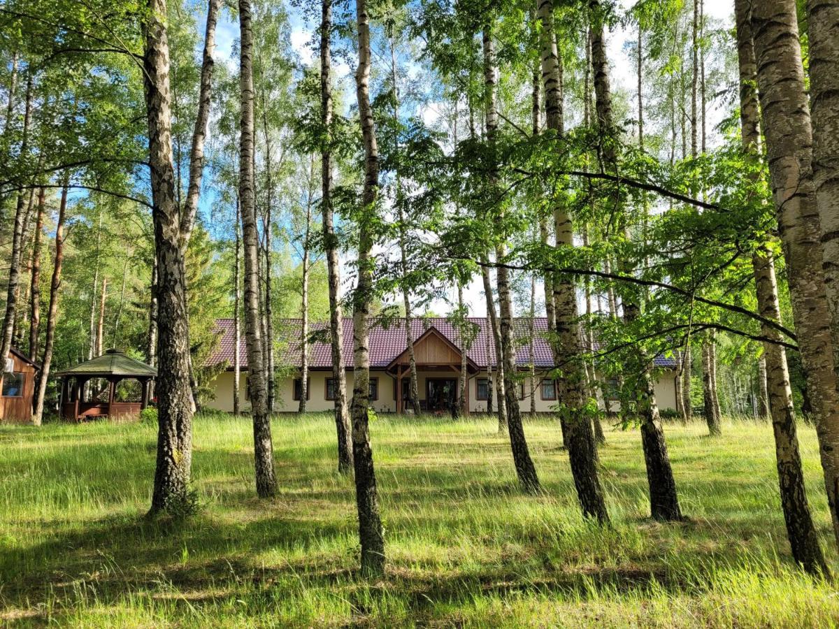 Osrodek Wypoczynkowy Zacisze Hotel Śliwice Екстериор снимка