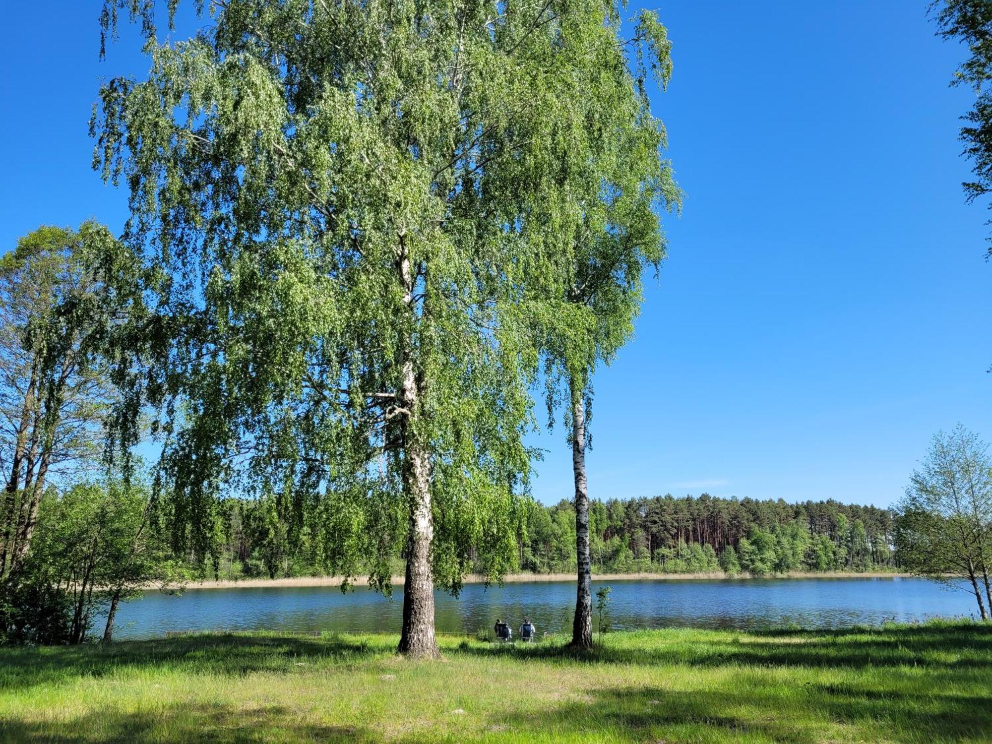 Osrodek Wypoczynkowy Zacisze Hotel Śliwice Екстериор снимка